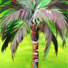 palm tree painting